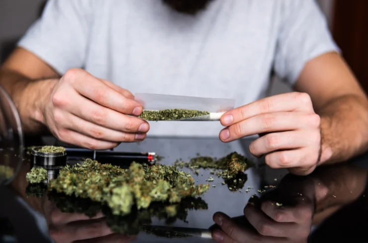 Cannabis and Drug Abuse------11